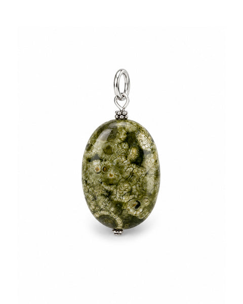 Rainforest Jasper Charm - Silver